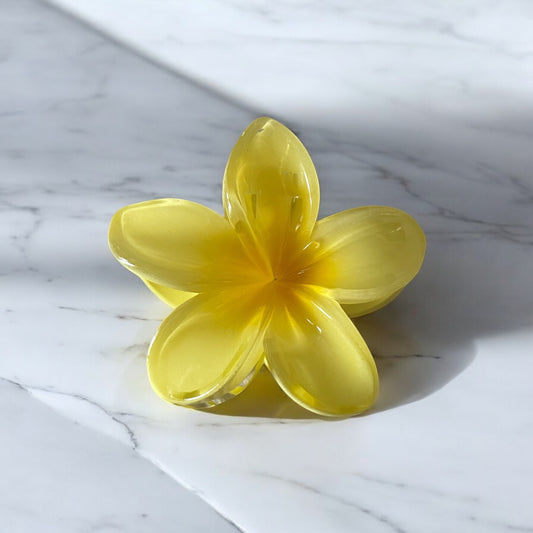 Pince à Cheveux FLEUR